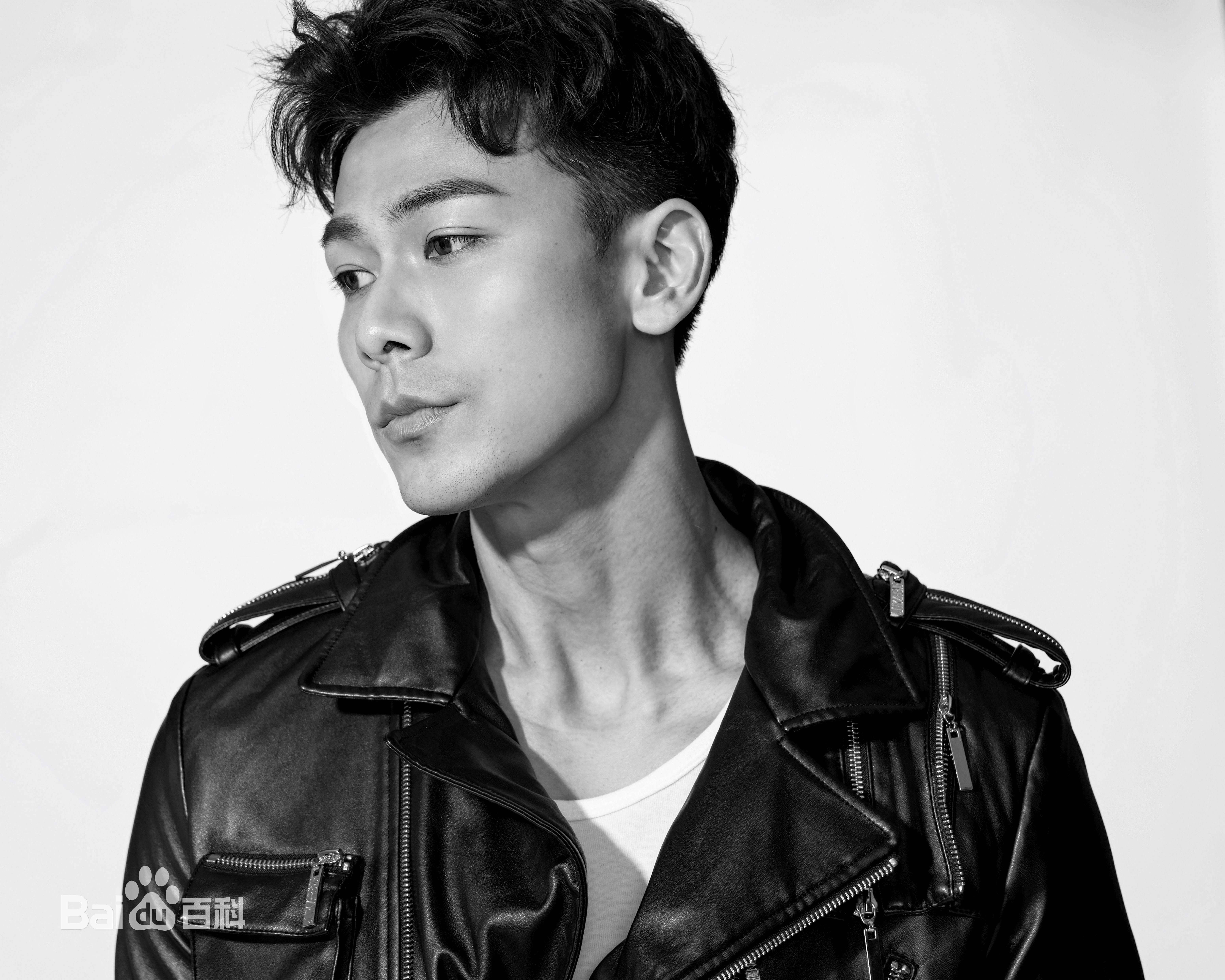 戴向宇最全壁纸