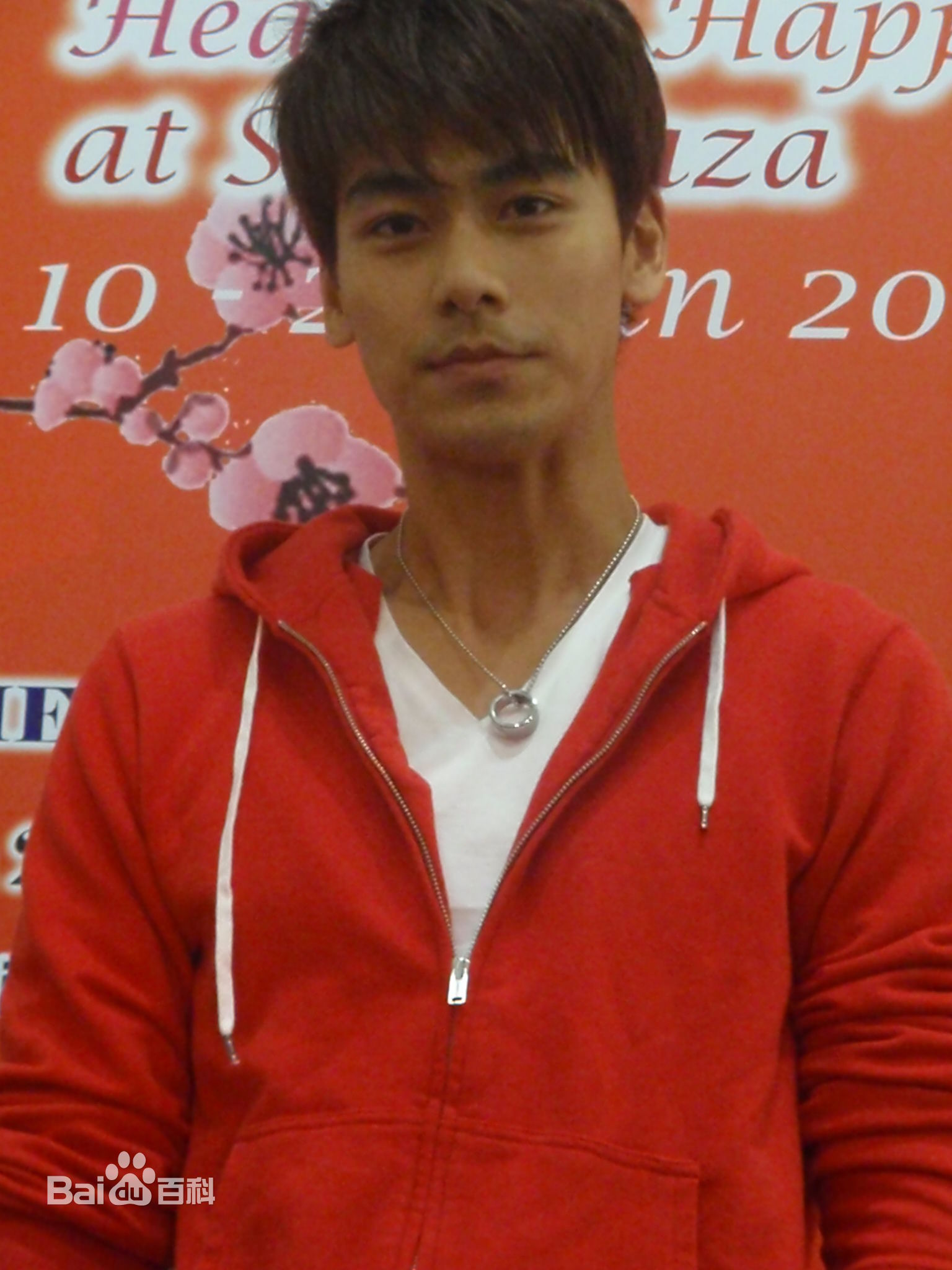 最全戴向宇精彩图册