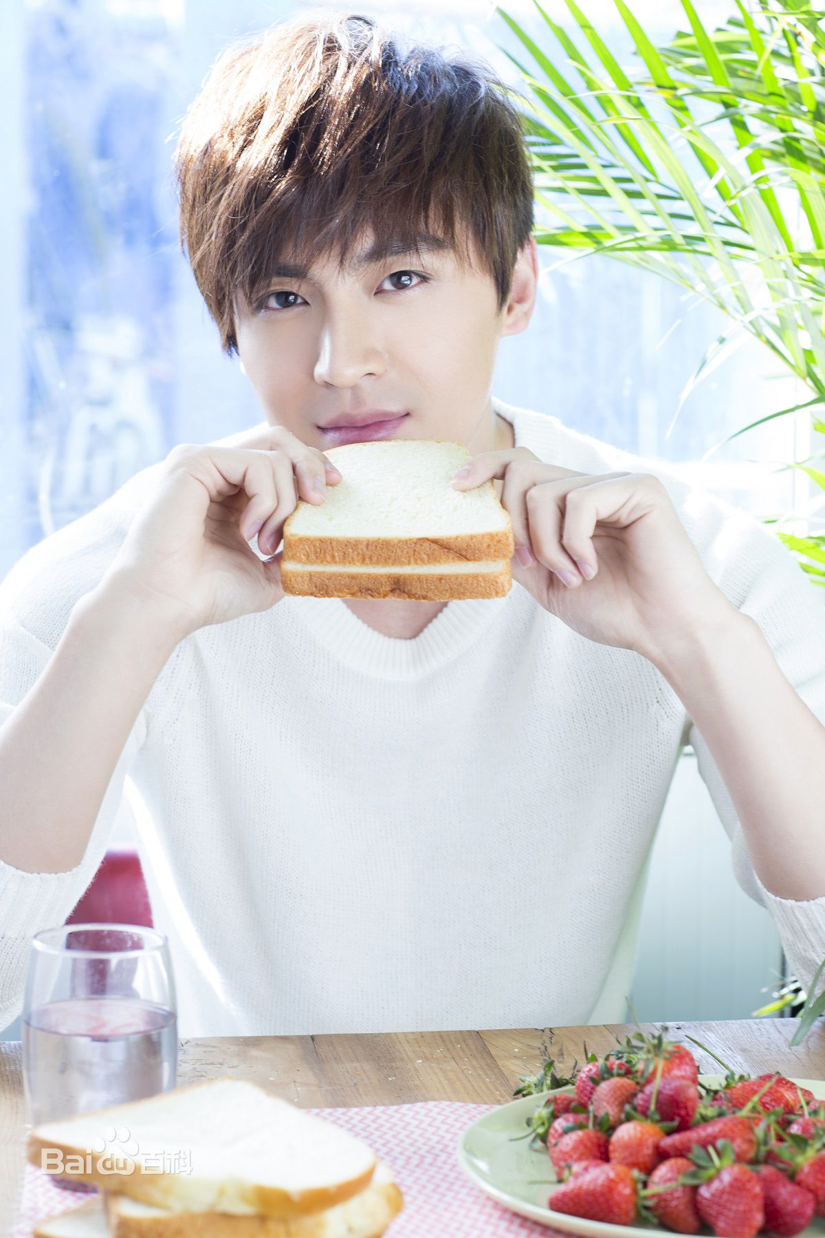 高泰宇最优质相册