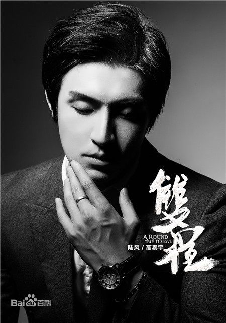 高泰宇双程图片图册