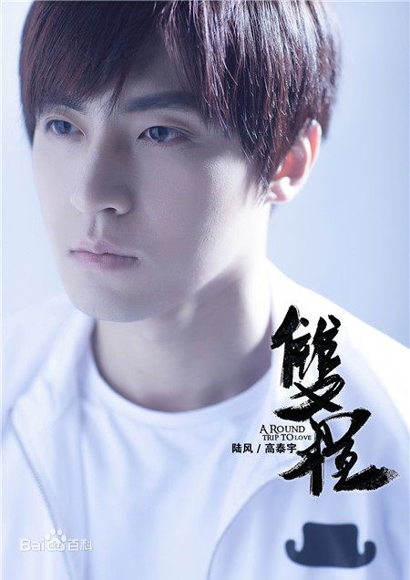 高泰宇双程图片图册