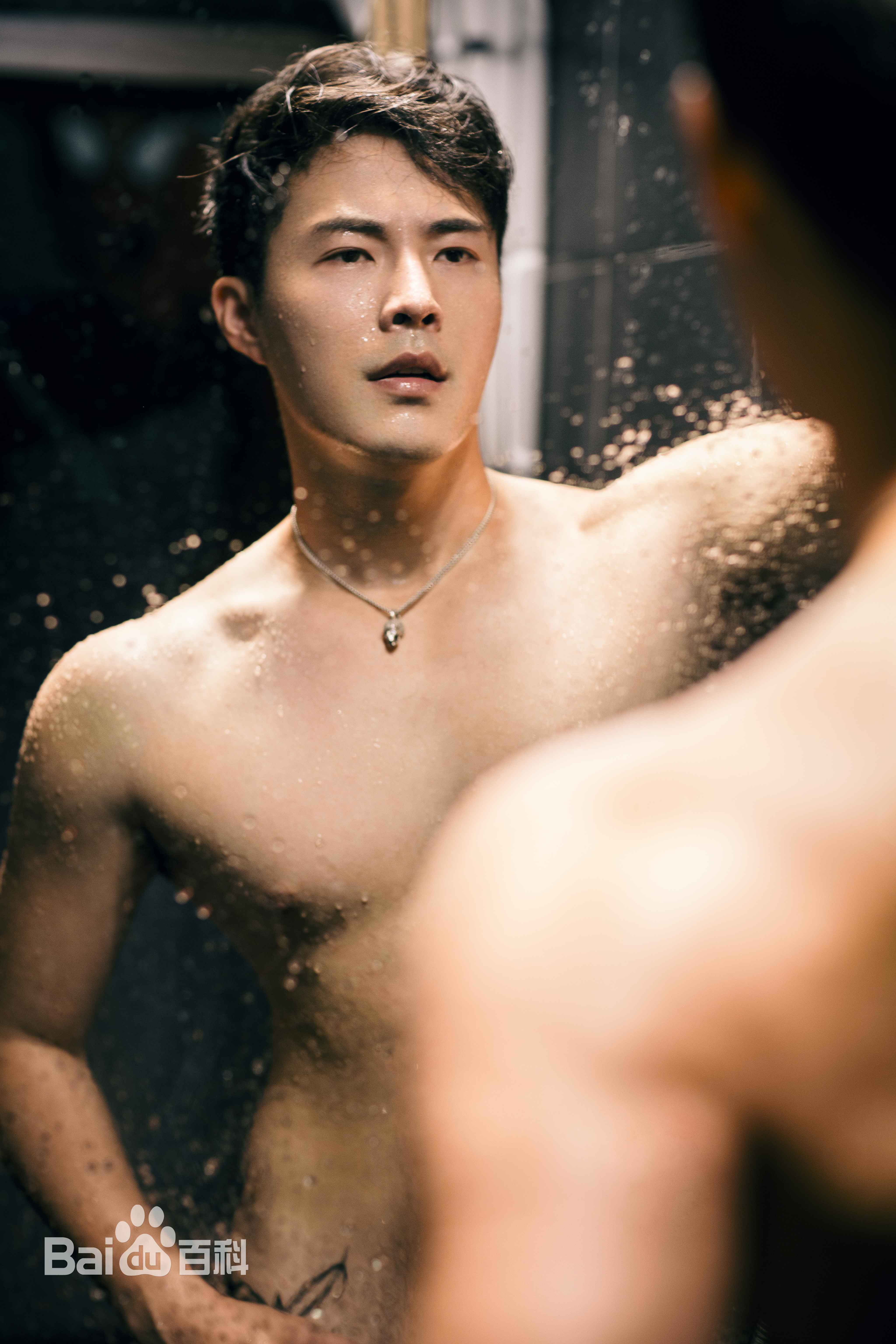 张子文(Steven)照片壁纸壁纸