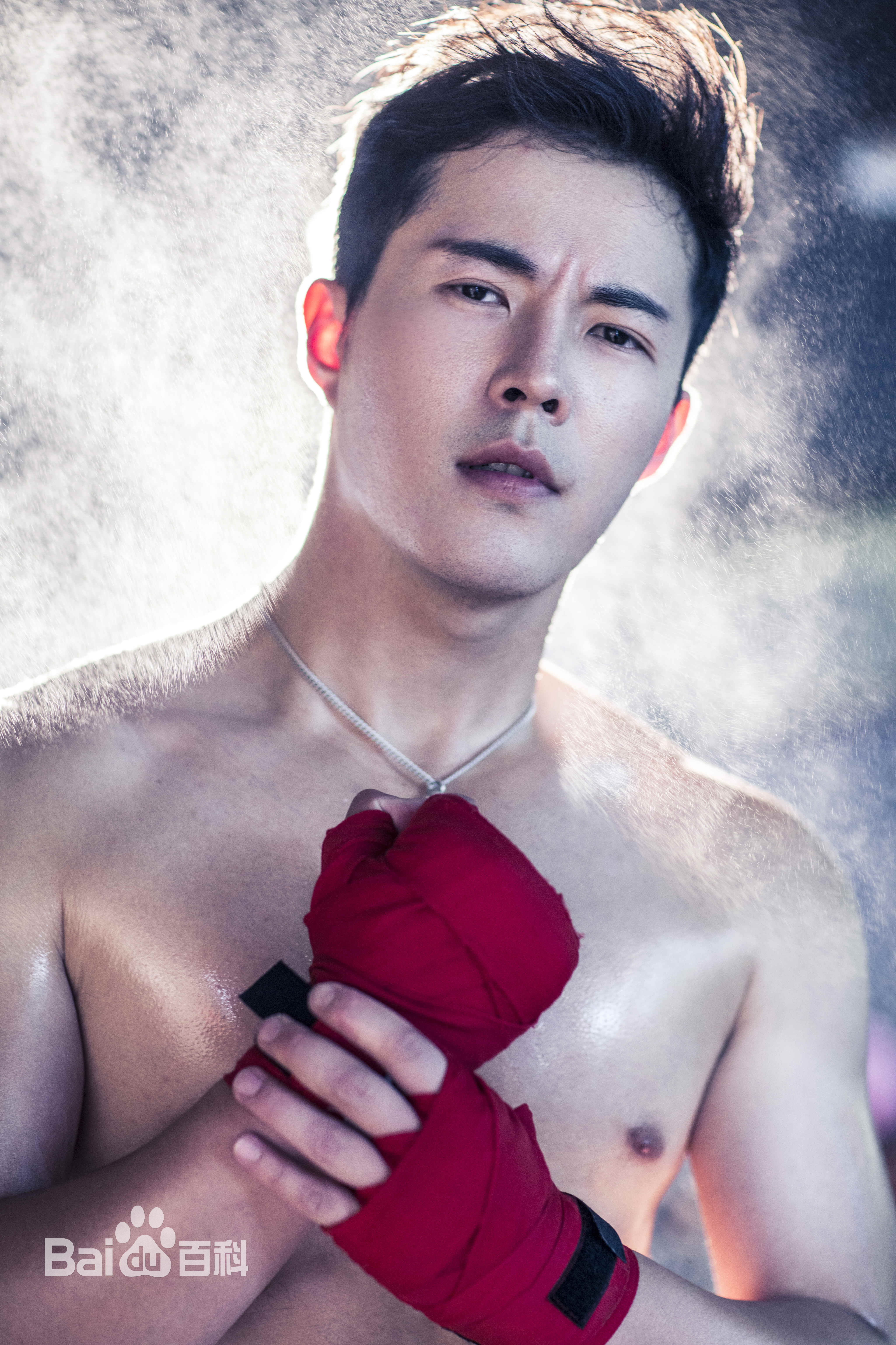 张子文(Steven)照片壁纸壁纸