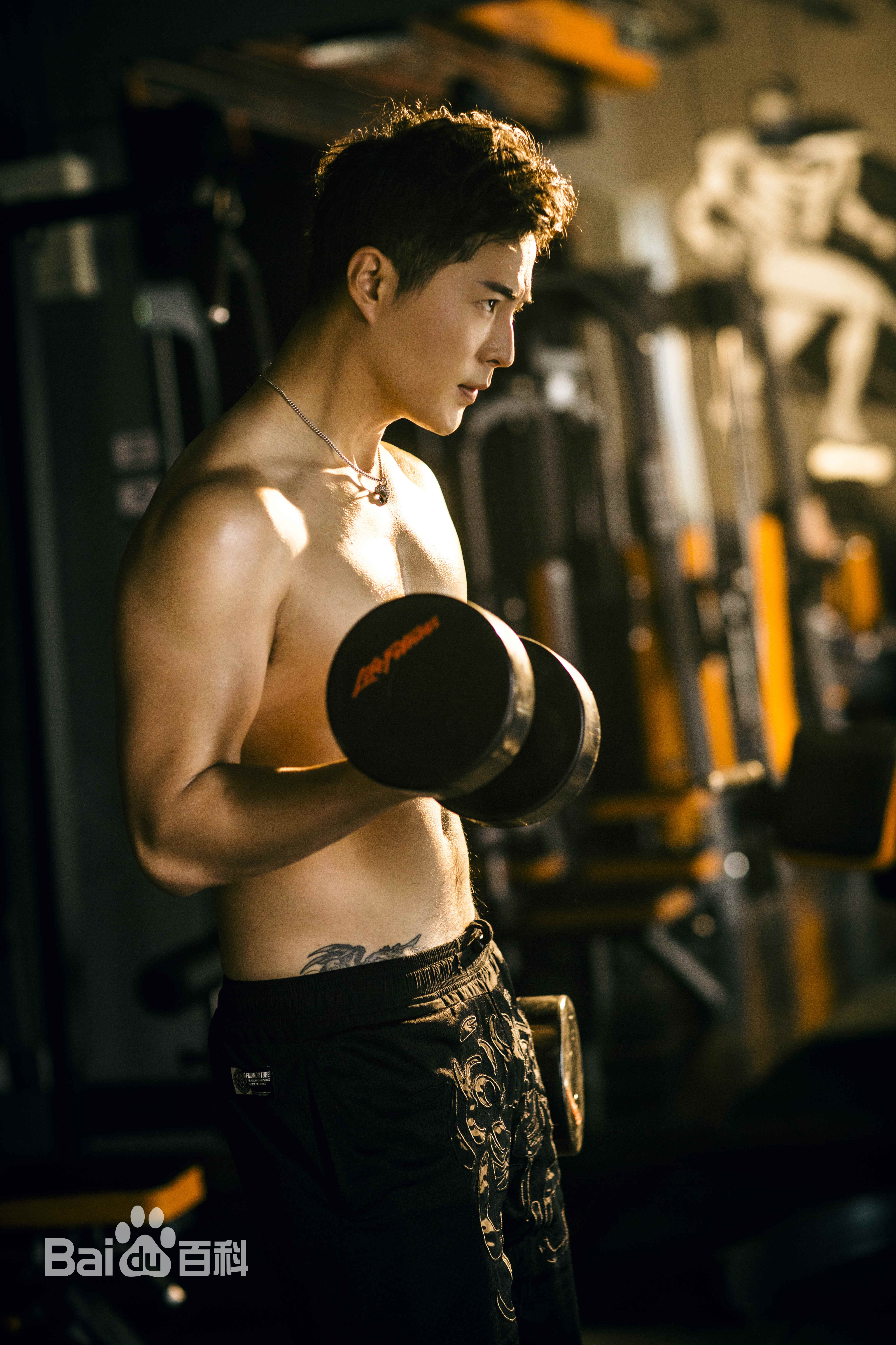 张子文(Steven)照片壁纸壁纸