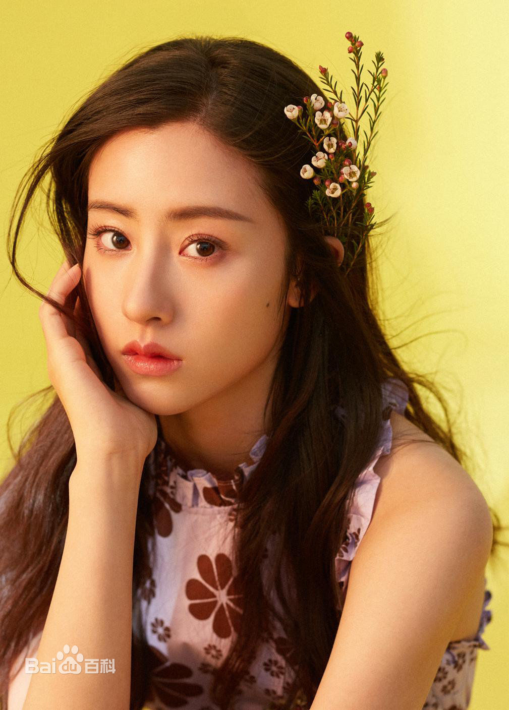 最新毛晓慧壁纸