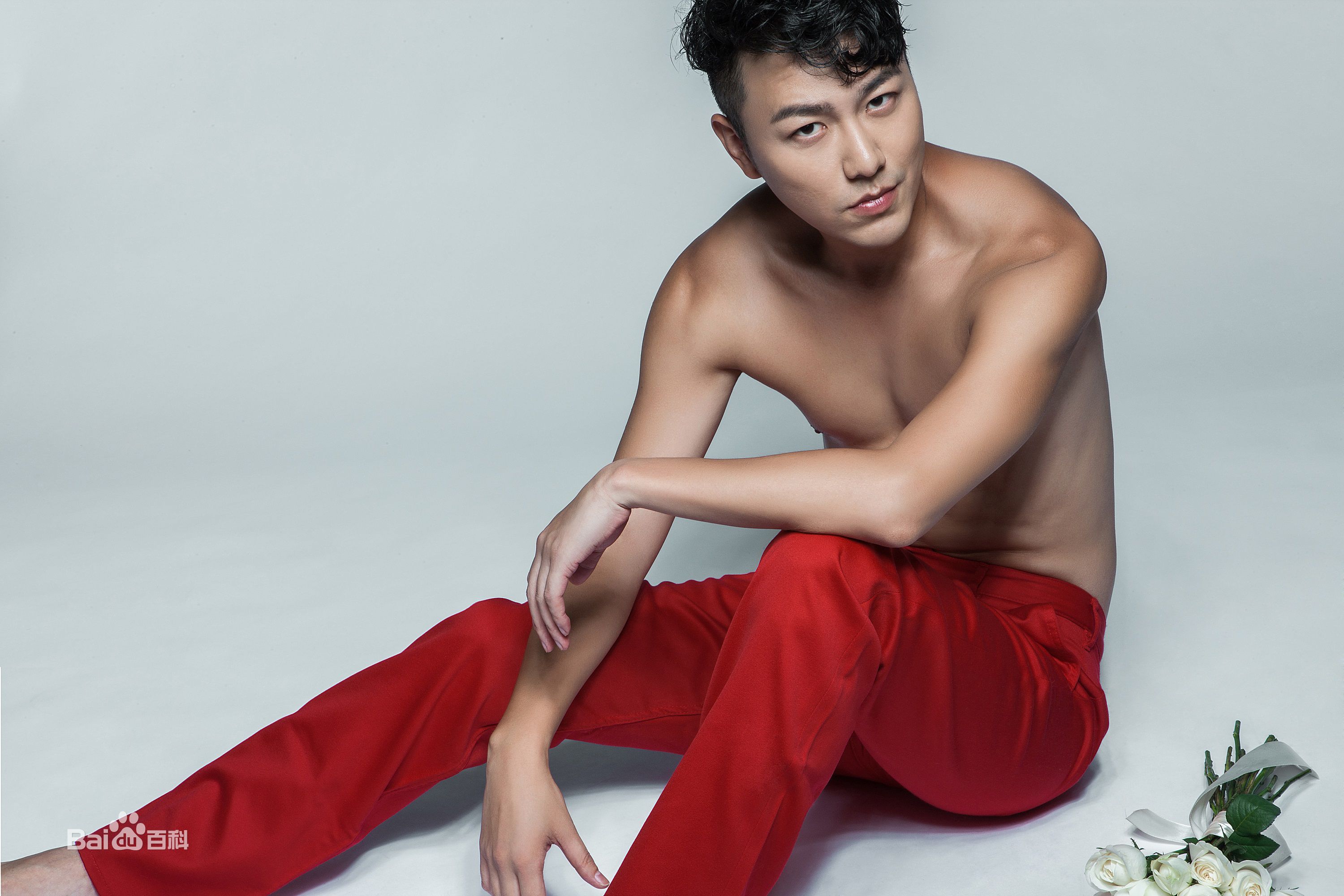 陈欢(Dax)图集图册