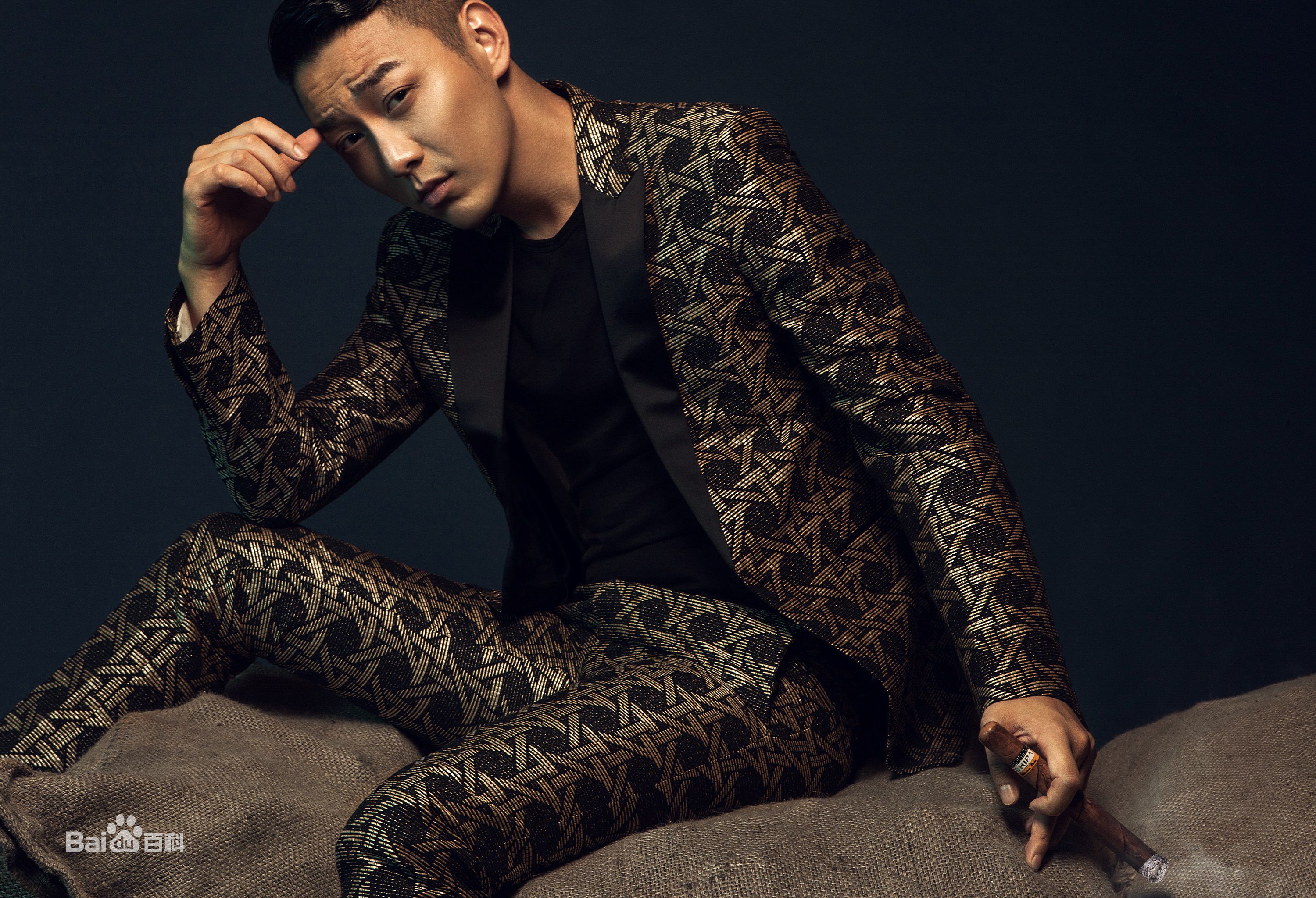 陈欢(Dax)图集图册