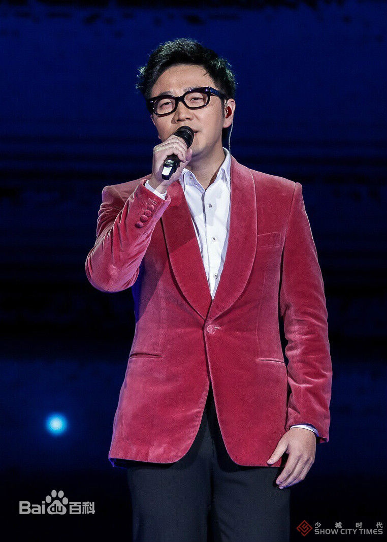 王铮亮(Reno Wang)亮相中央电视台图片图集