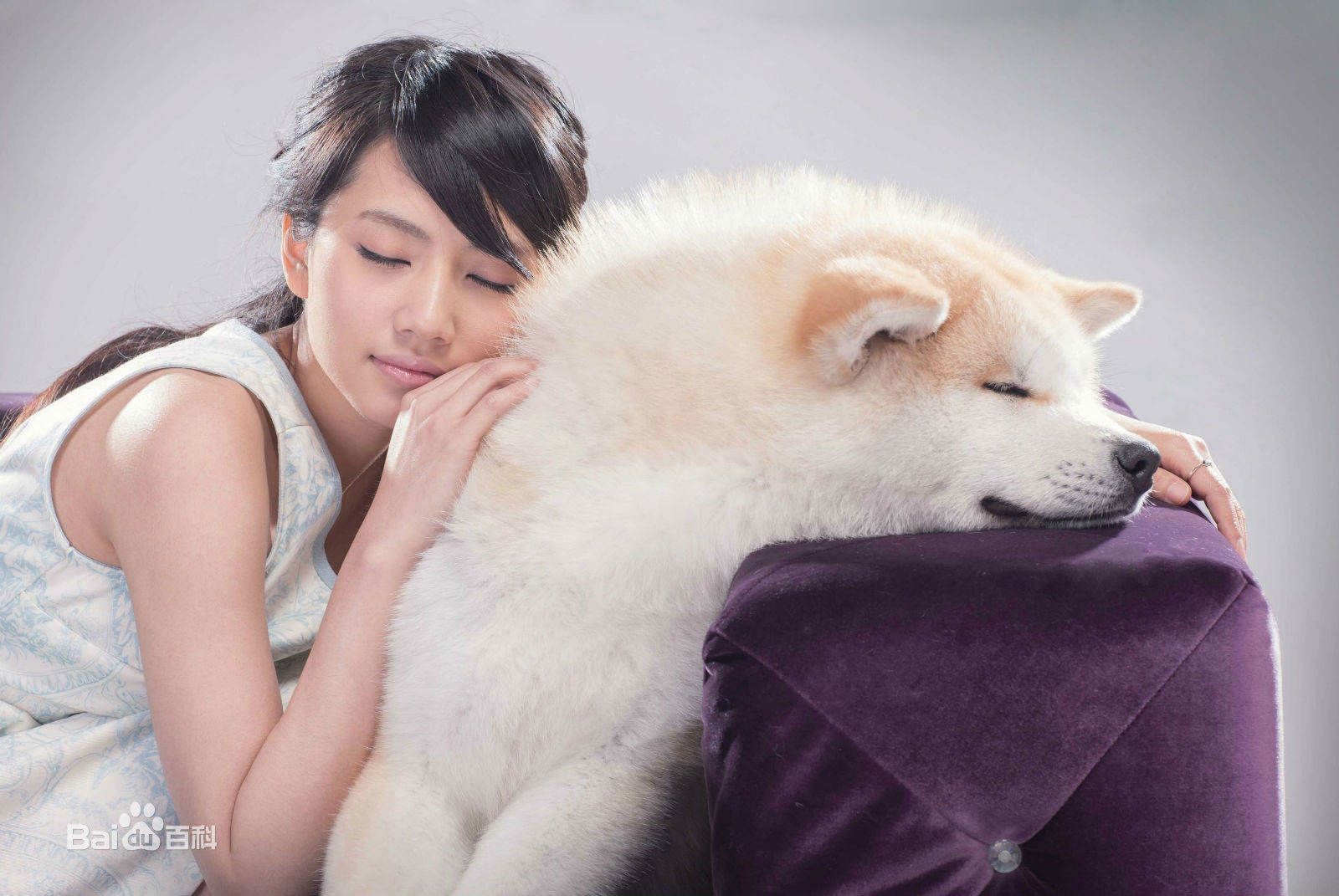 刘惜君(Sara)最优质杂志相册