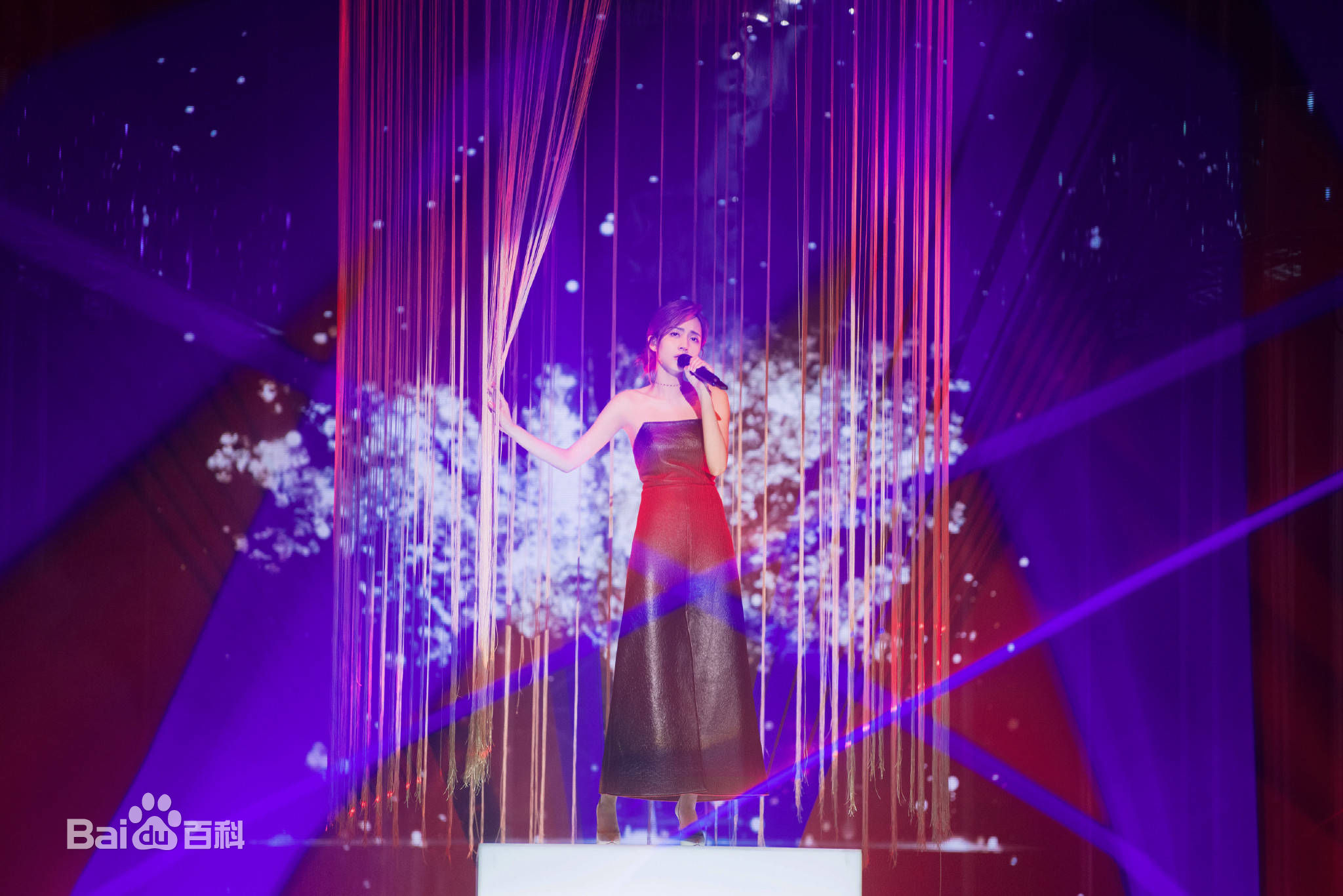 刘惜君(Sara)综艺图册