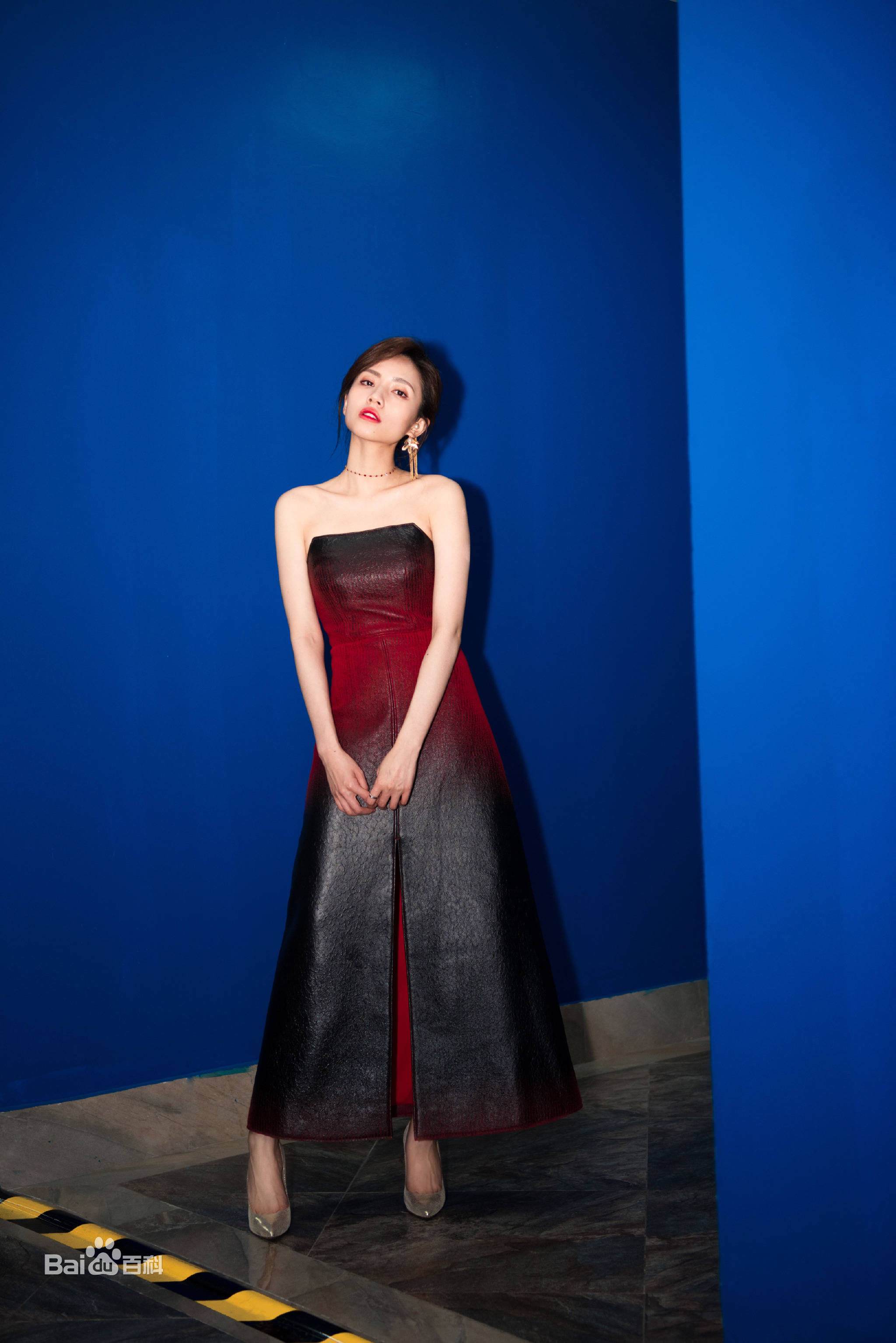 刘惜君(Sara)综艺图册