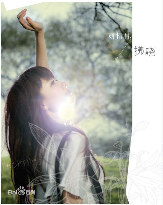 最全刘惜君(Sara)壁纸