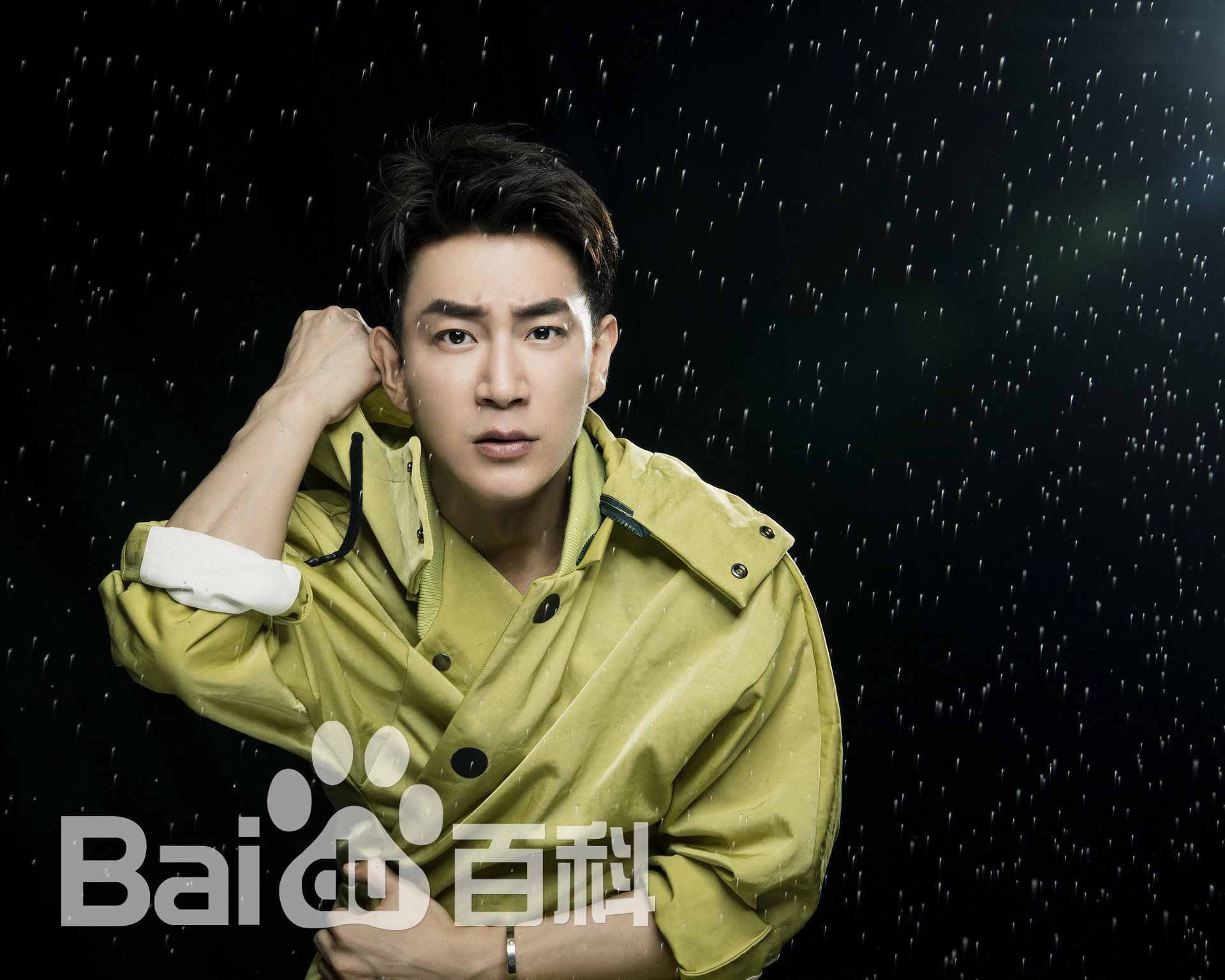 最新赵楚纶壁纸