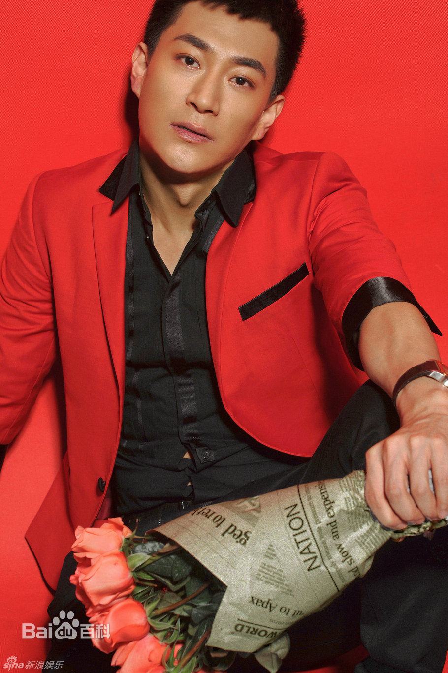 精选赵楚纶赵楚仑精彩图册