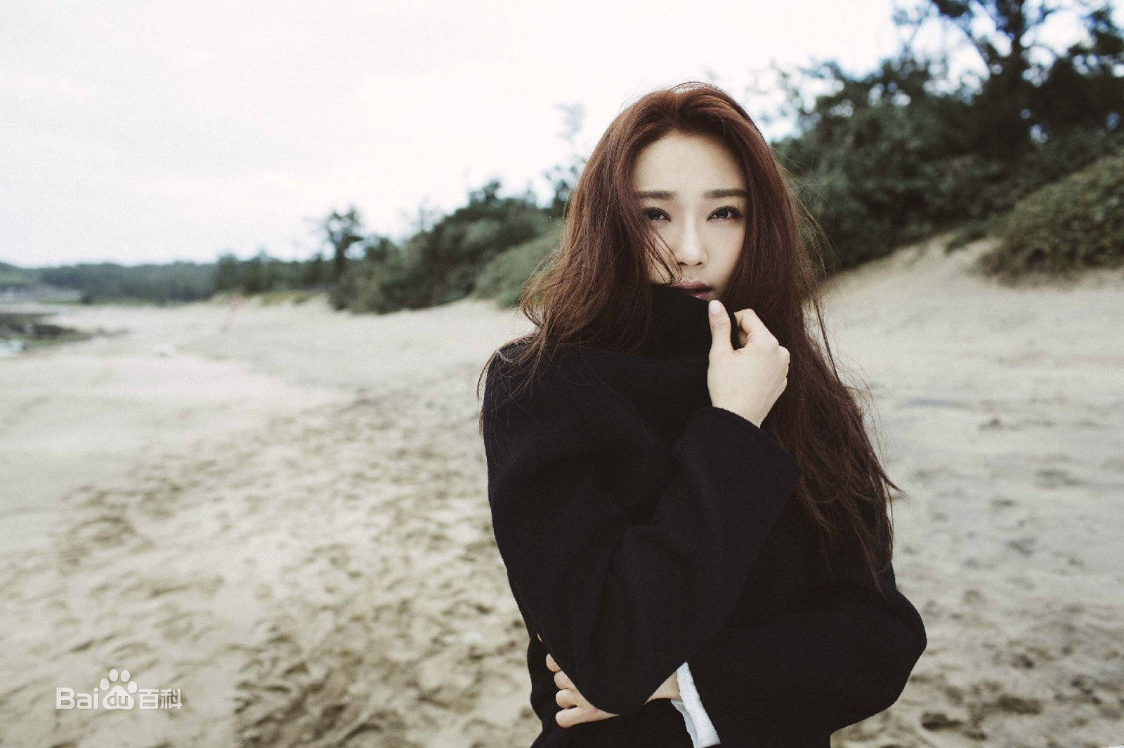 陈冰(Chen Bing)在专辑《等的人》中的