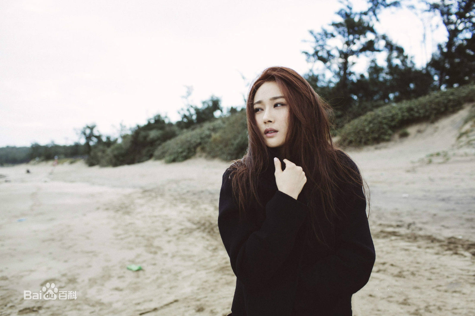 陈冰(Chen Bing)在专辑《等的人》中的