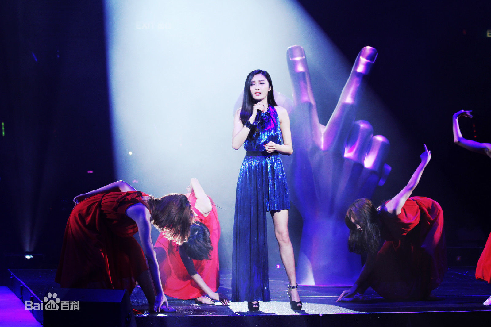 陈冰(Chen Bing)“好声音”巡演 香港站图片图集