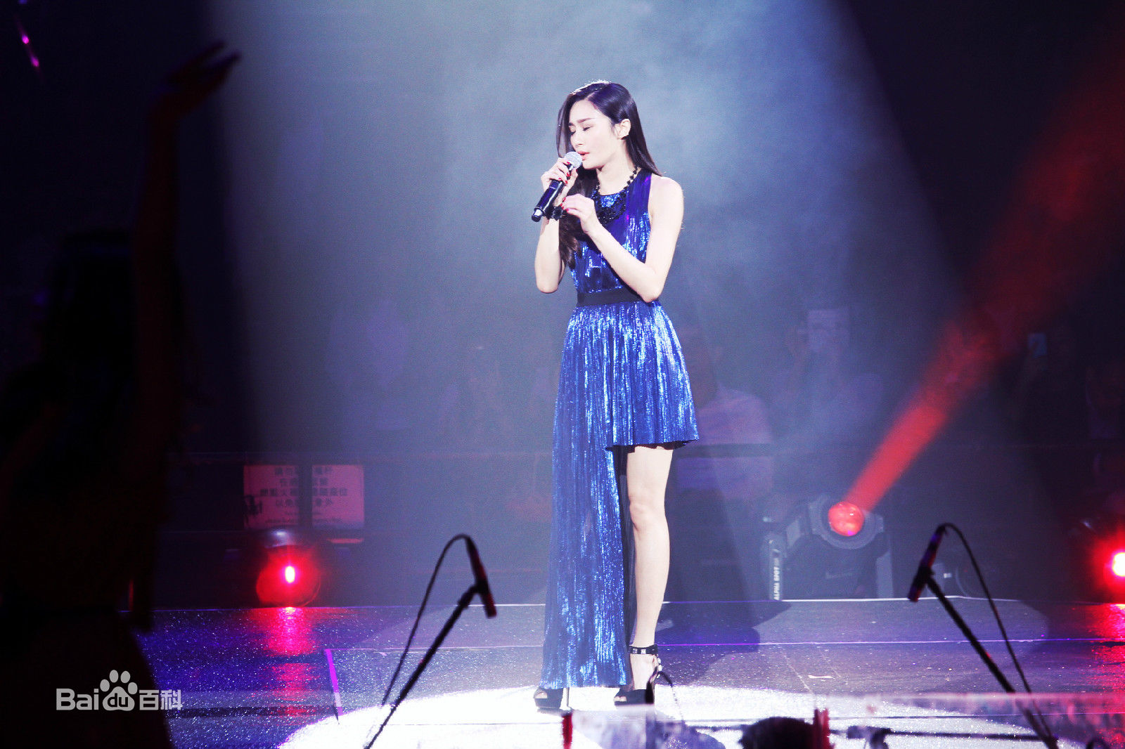 陈冰(Chen Bing)“好声音”巡演 香港站图片图集