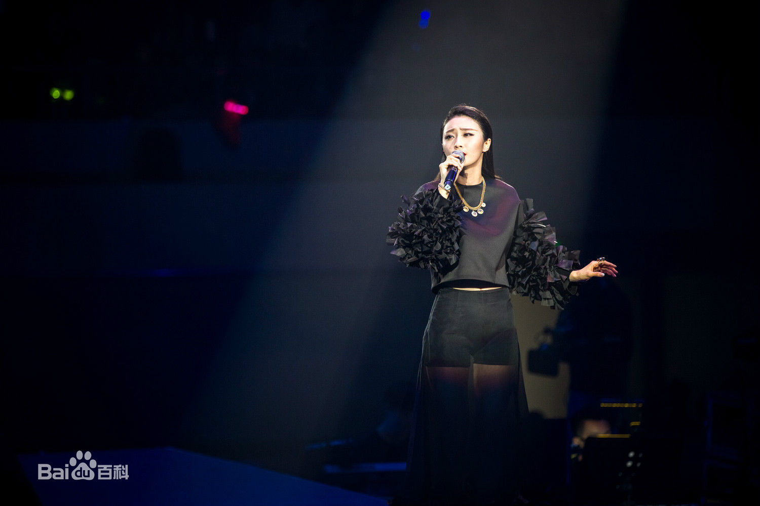 陈冰(Chen Bing)“好声音”巡演 深圳站生活照相册