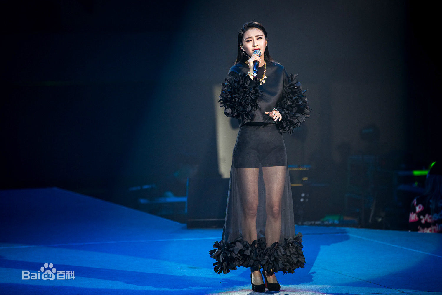 陈冰(Chen Bing)“好声音”巡演 深圳站生活照相册