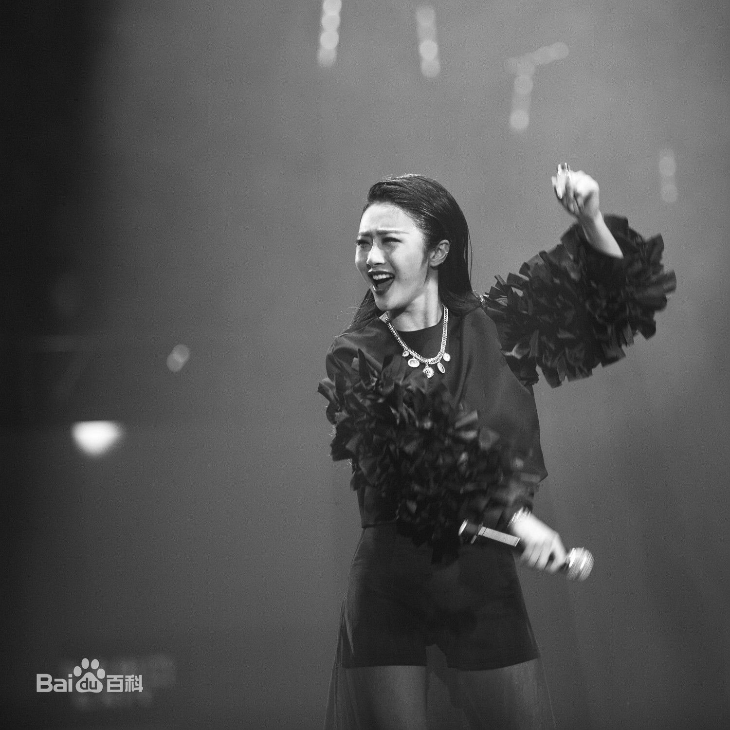 陈冰(Chen Bing)“好声音”巡演 深圳站生活照相册