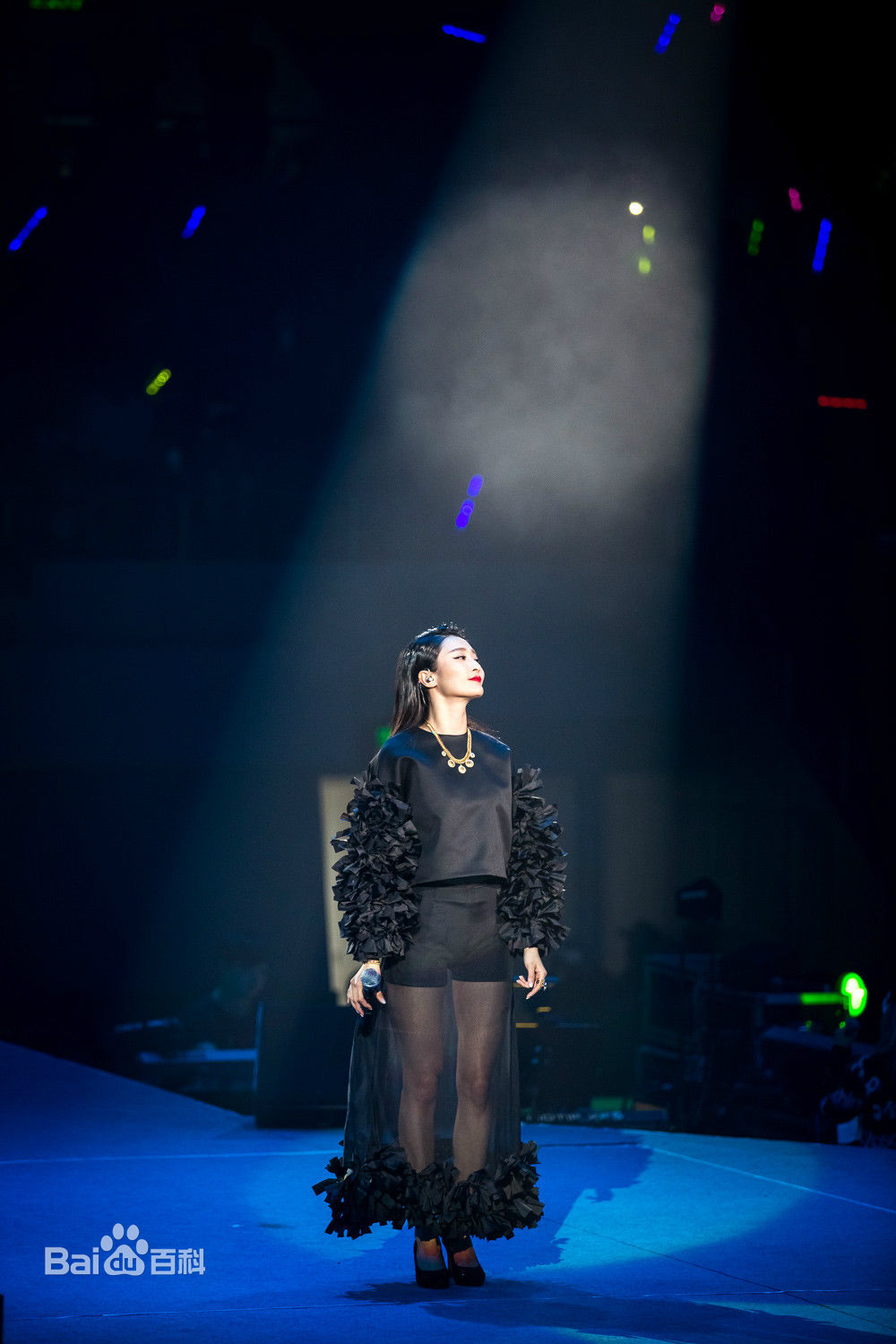 陈冰(Chen Bing)“好声音”巡演 深圳站生活照相册