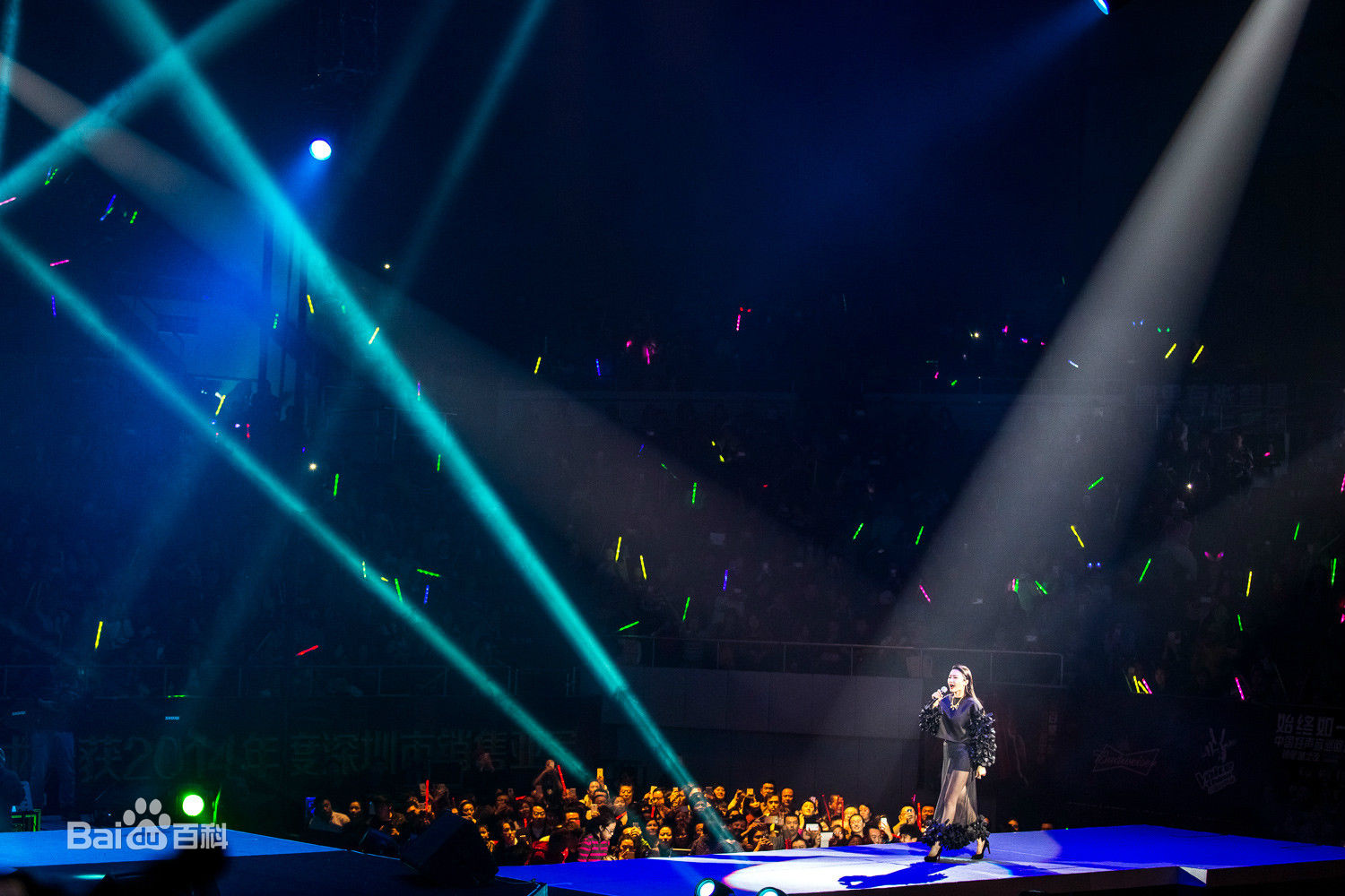 陈冰(Chen Bing)“好声音”巡演 深圳站生活照相册