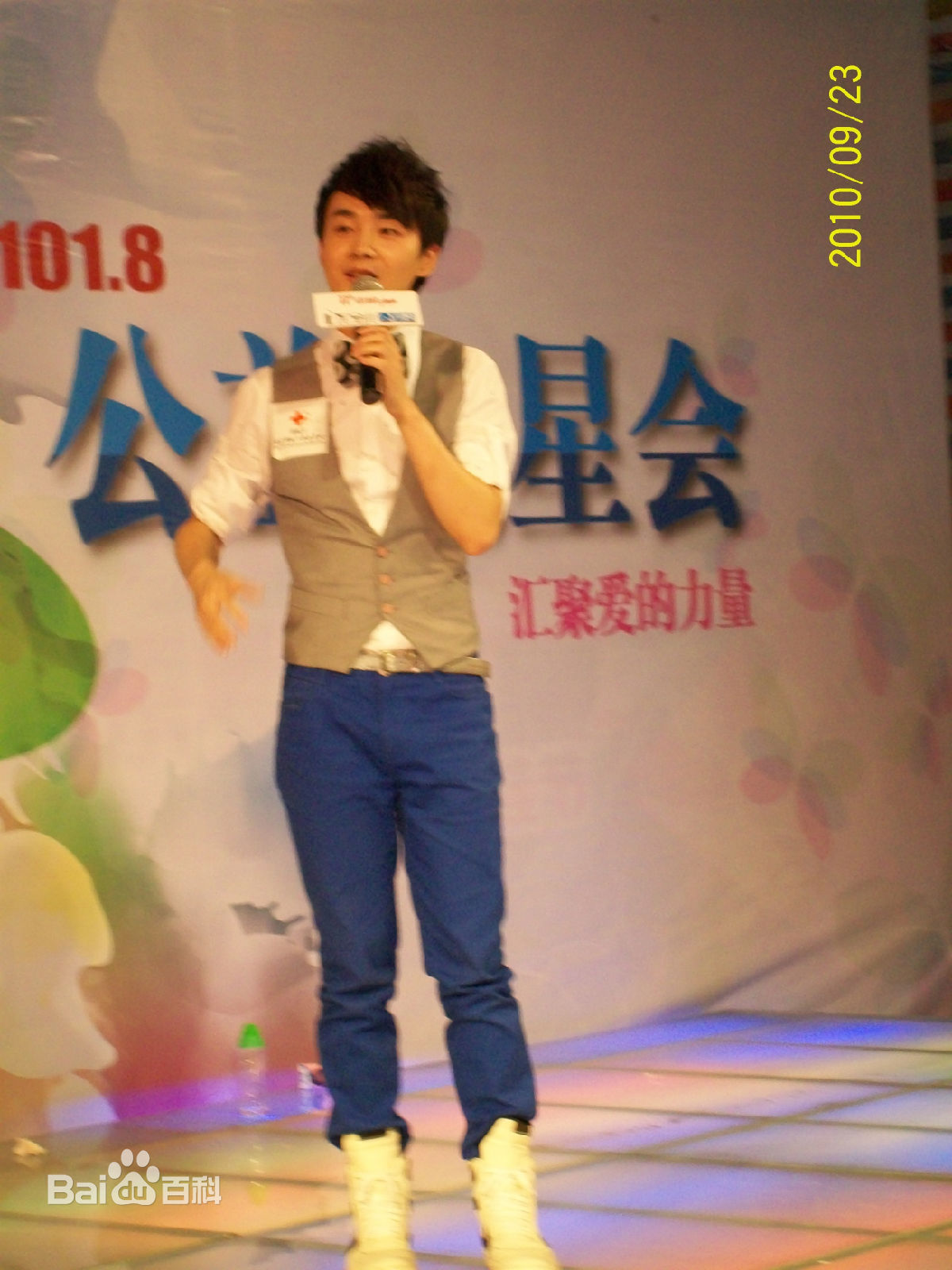 沈凌2010年慈善歌会性感图片图集