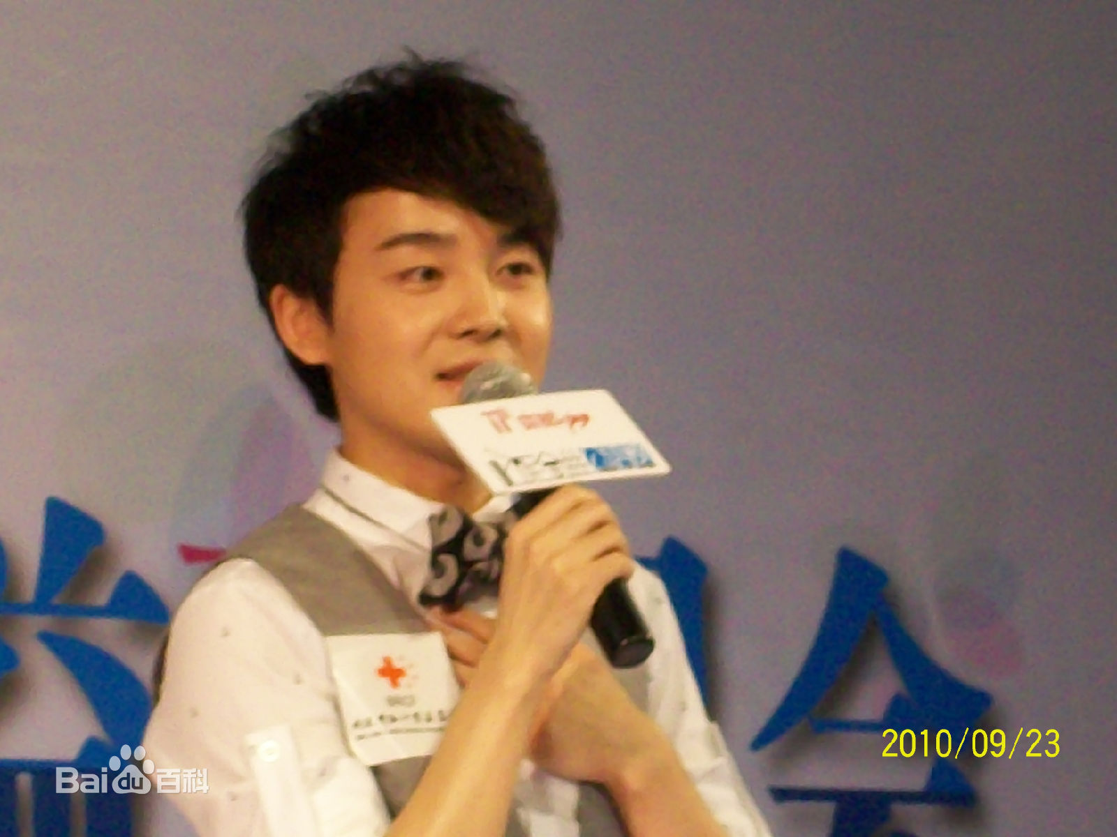 沈凌2010年慈善歌会性感图片图集