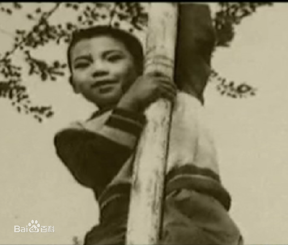 屠洪刚幼年相册壁纸壁纸