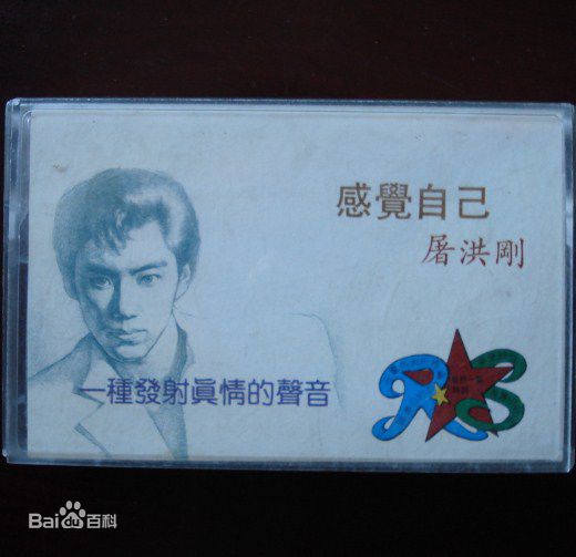 最全屠洪刚壁纸