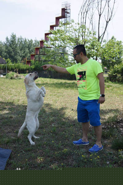 最优质苏蓬生活照