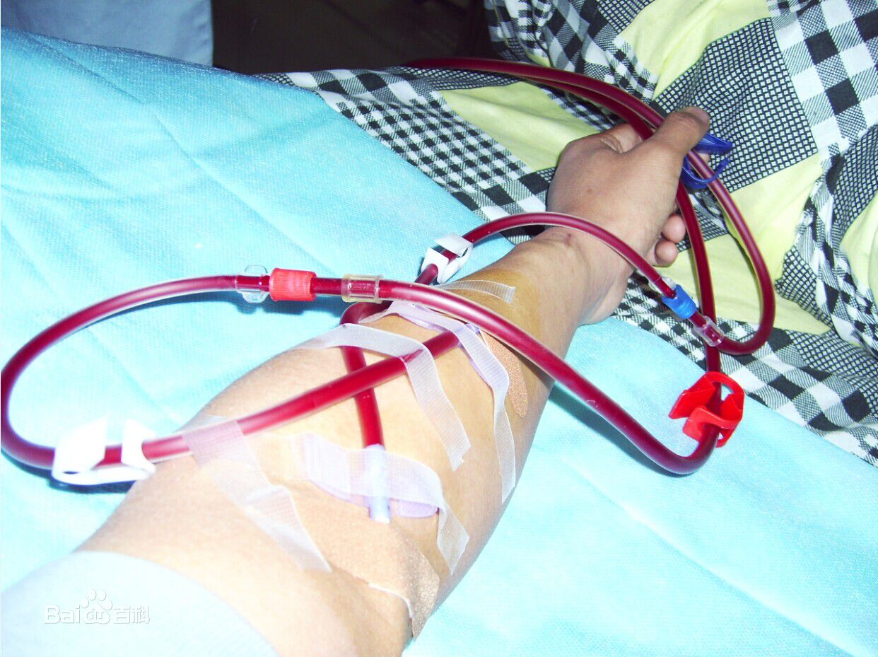 最优质张桥(zhangqiao)生活照