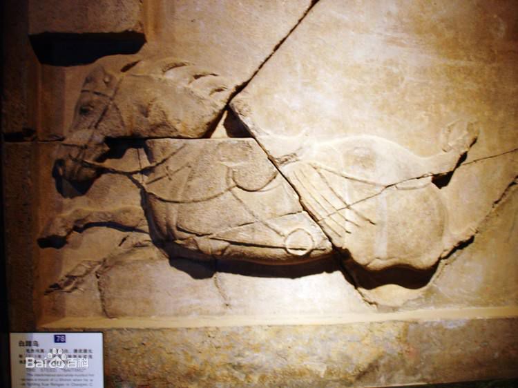 唐朝(Tang Dynasty)昭陵六骏图片图集