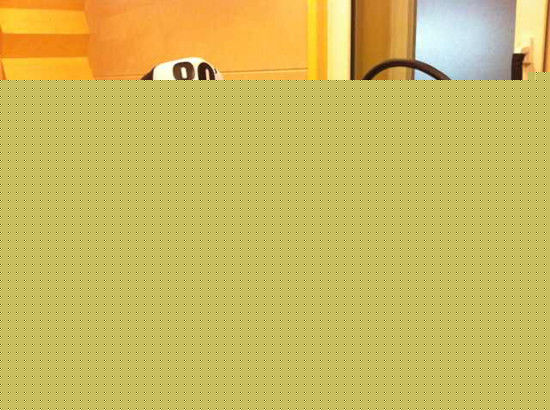 张岩参加活动图性感图片壁纸