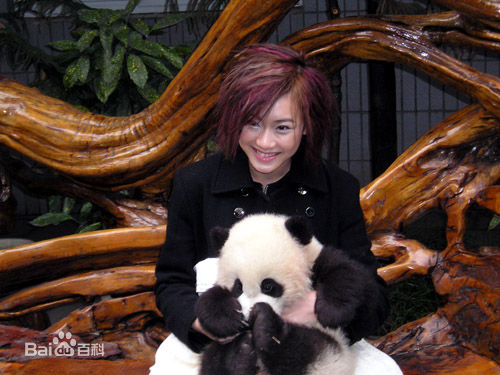 何以奇(Angel Ho)生活艺术照一生活照