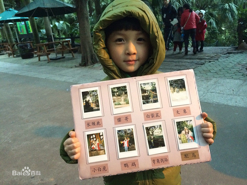 石悦安鑫(Anson)宝贝大赢家性感图片图集