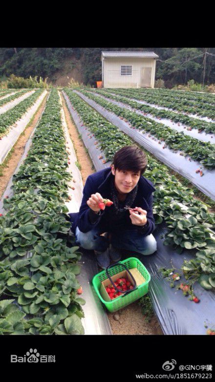 蔡尚甫(Gino)生活照片图册