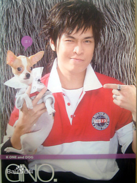 蔡尚甫(Gino)精选影集图册