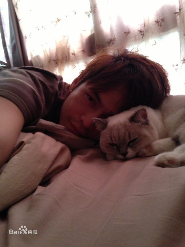 蔡尚甫(Gino)精选影集图册