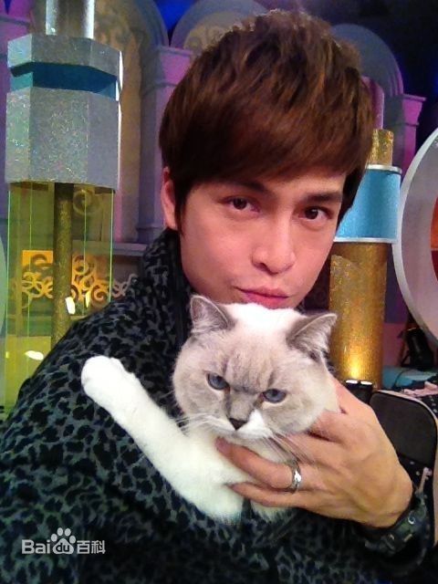 蔡尚甫(Gino)精选影集图册