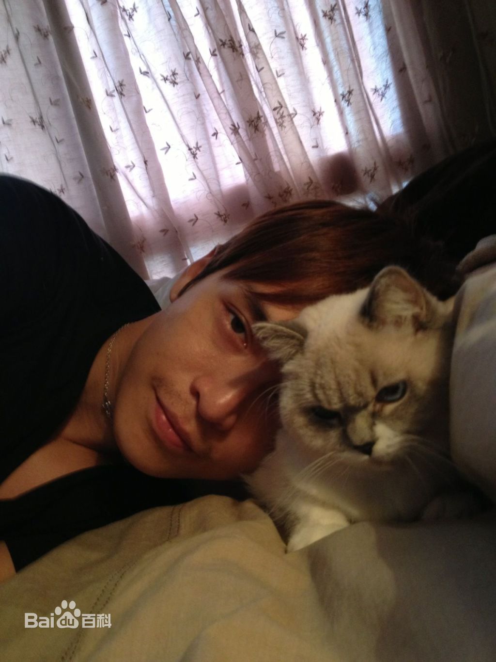 蔡尚甫(Gino)精选影集图册