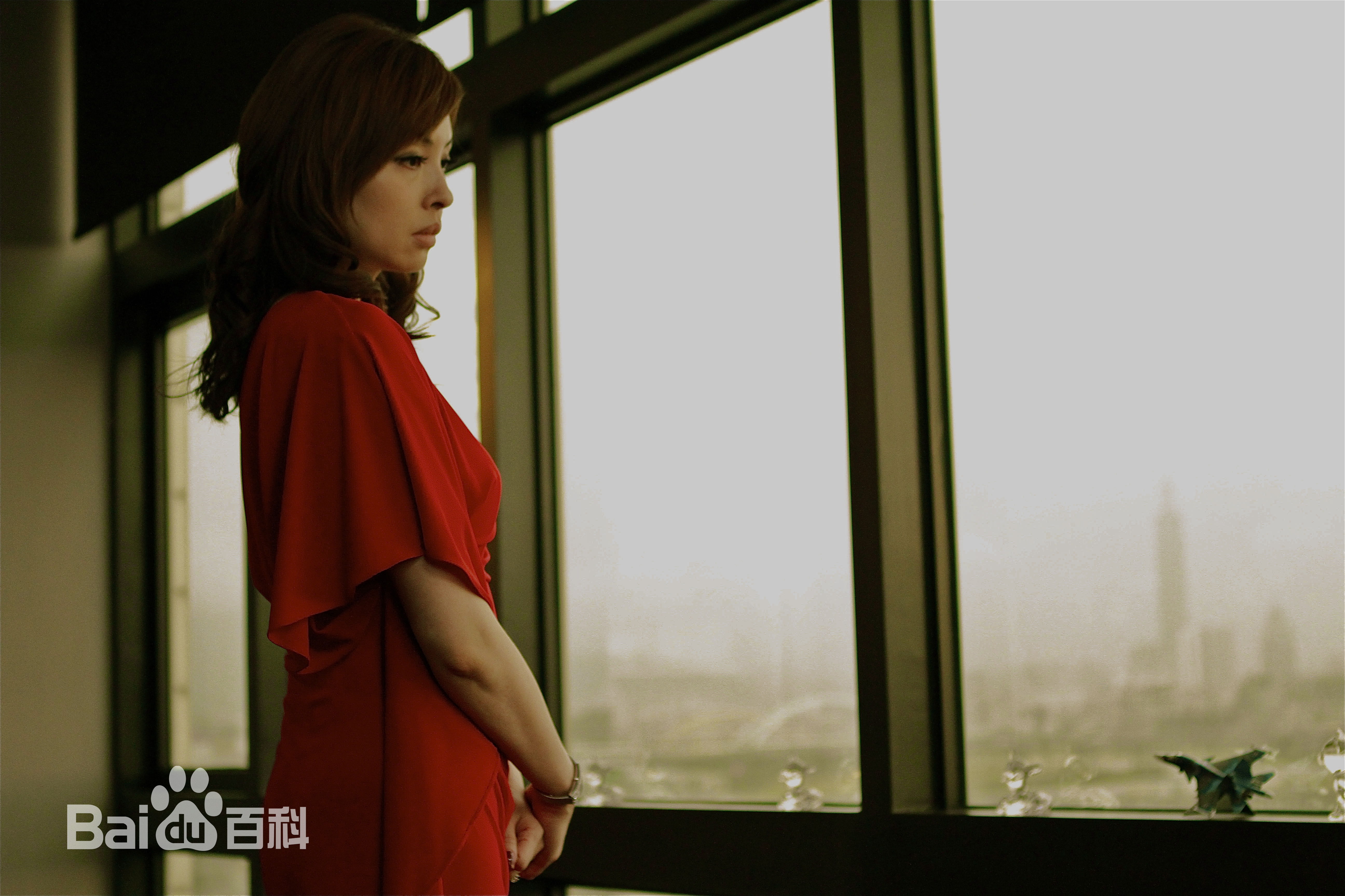 何如芸希望之钻个人照图册