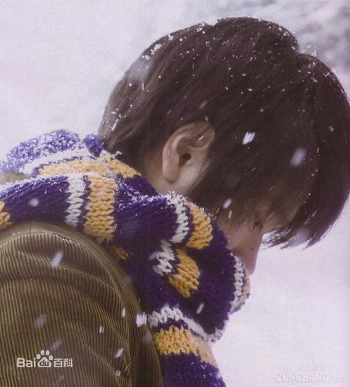 最全许嘉凌(Ivy Hsu)精彩图册