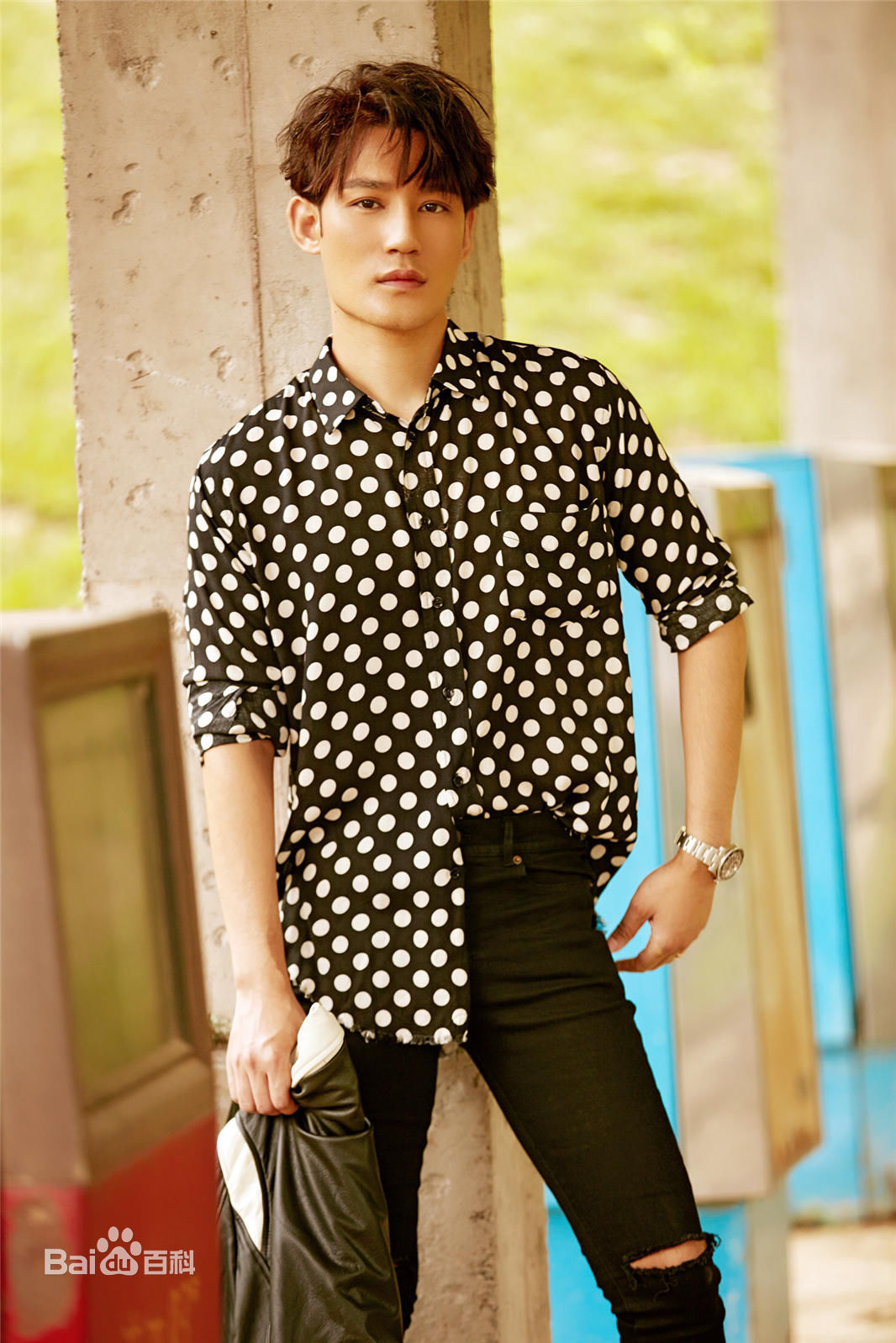 高凯元最全波点壁纸