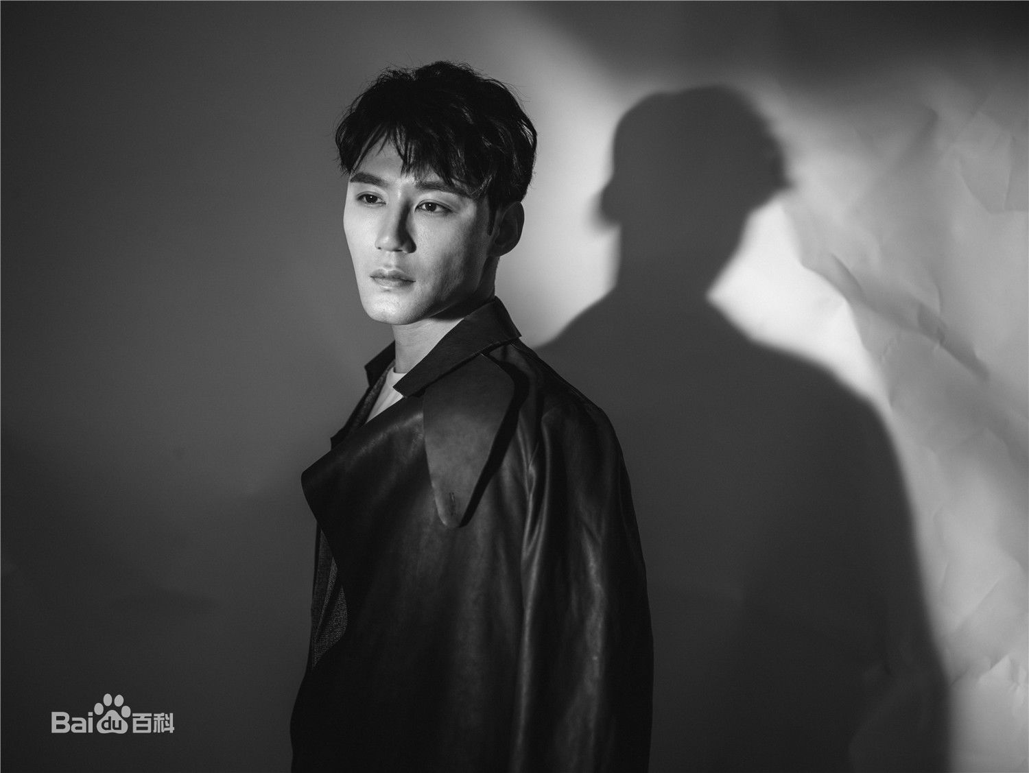 高清高凯元图片