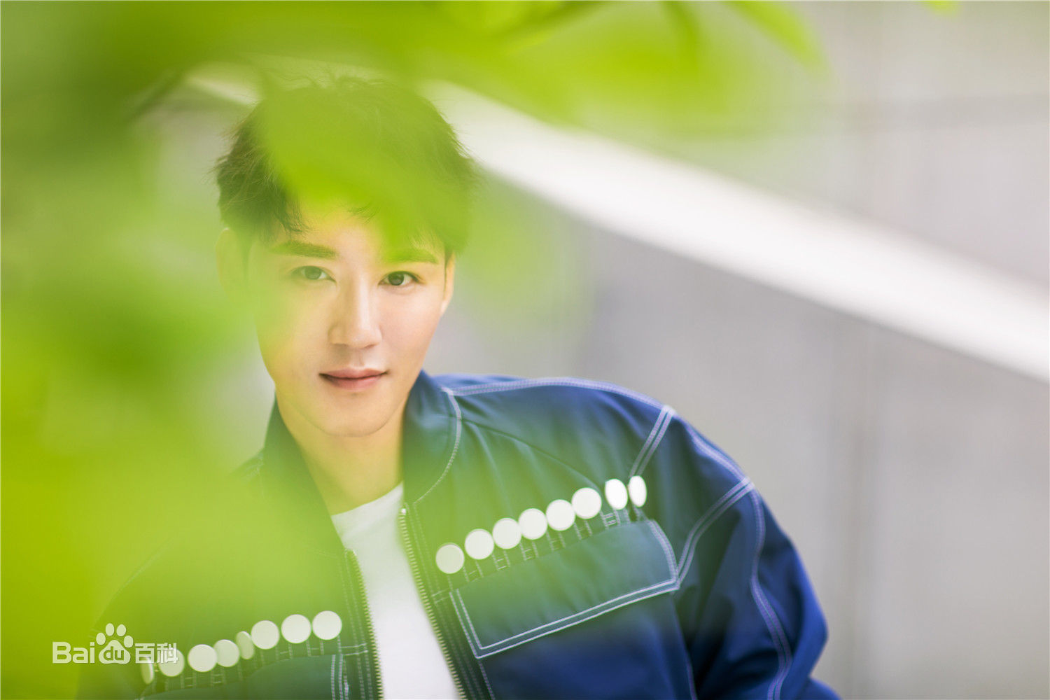 高清高凯元图片