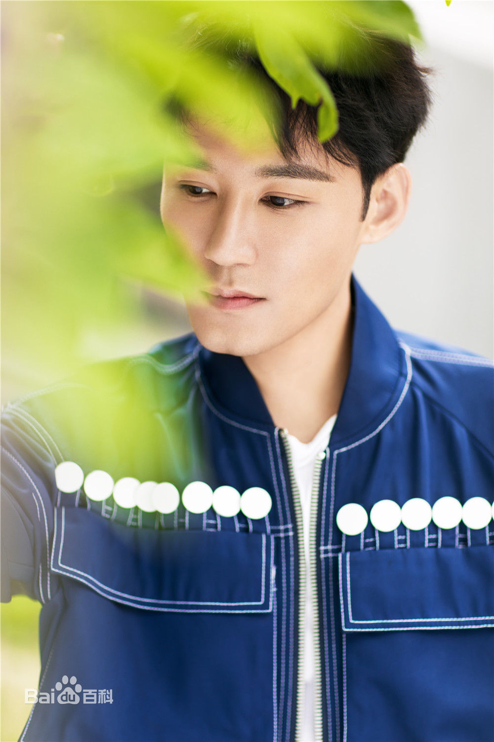 高清高凯元图片