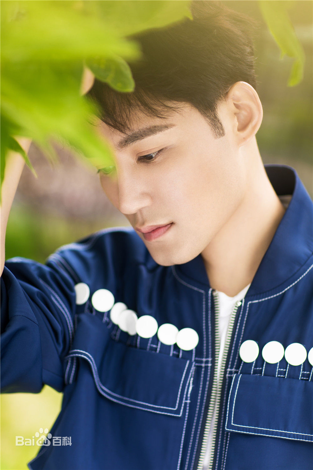 高清高凯元图片