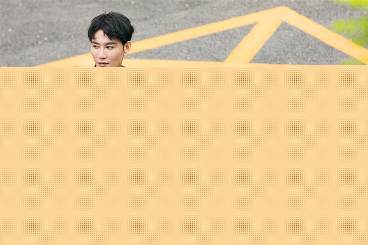 高清高凯元图片